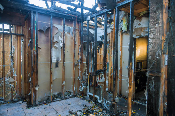Professional Fire Damage Removal technician working in Brentwood, PA